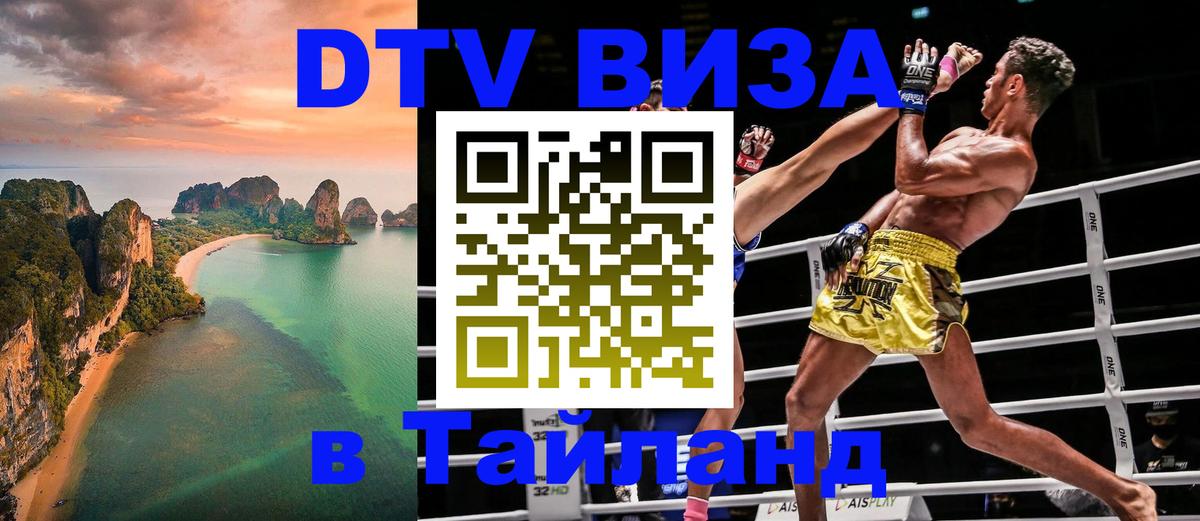 Оформление DTV визы под ключ: стоимость и тарифы, только загранпаспорт - 18.11.2025 